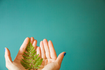 mano sujetando una hoja de helecho como simbolo del respeto al medio ambiente y de cuidado del planeta y la naturaleza