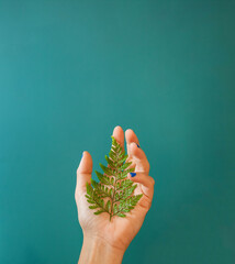 mano sujetando una hoja de helecho como simbolo del respeto al medio ambiente y de cuidado del planeta y la naturaleza