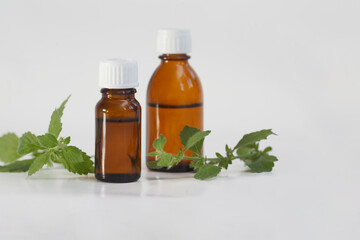 melissa essential oil container with melissa leaves and flowers isolated white