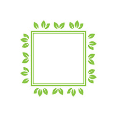 green leaves frame