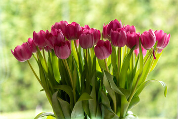 Beautiful bouquet of tulips, spring flowers
