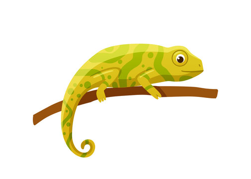 Yellow lizard or chameleon with swirling tail flat vector illustration isolated.