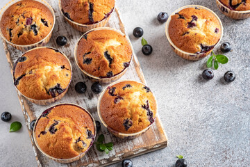 Homemade vegan blueberry muffins on white background.