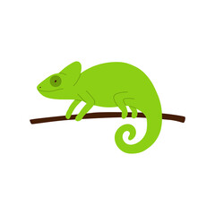 Green minimalist style chameleon lizard on branch vector illustration isolated.