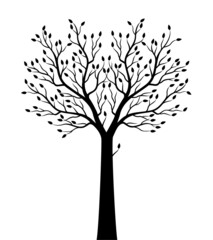 Obraz premium Shape of black Tree. Vector outline Illustration. Plant in Garden.