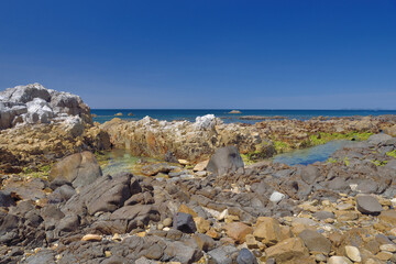 白岩崎海岸