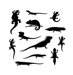 Set of black silhouettes lizard, salamander, chameleon, iguana and other reptiles