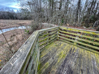 Green moldy Wooden deck and river in a marshland area