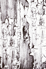 grunge design texture pattern background overlay