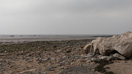 Looking out at an empty estuary from the beach