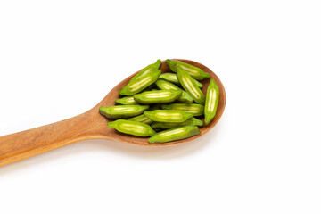 Fruit of broken bone tree slices in wooden spoon on white background.