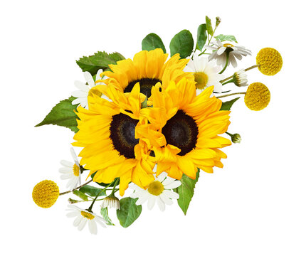 Yellow sunflowers, daisies and green leaves in a floral arrangement isolated