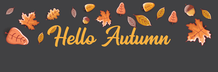 Fototapeta premium vector hello autumn horizontal banner or label with text and falling autumn leaves on grey horizontal background. Cartoon hello autumn poster, flyer or banner