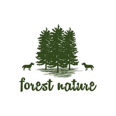 Evergreen, Pines, Spruce, Cedar trees forest nature logo design