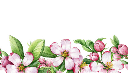 Apple tree flower seamless border. Watercolor illustration. Hand drawn spring floral endless border element. Tender pink apple blossoms on white background. Flowers and green leaves decoration