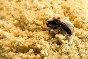 Rice porridge with soft boiled egg and minced egg in white clay pot side dish with crispy patongo (deep-fried dough stick) - Thai breakfast