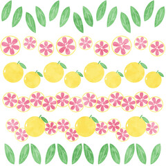 グレープフルーツのラインセット　水彩風