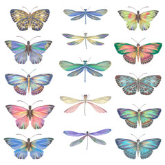 Fototapeta na wymiar Set of watercolor butterflies and dragonflies. Collection of colorful insects with wings for design, scrapbooking, postcards. Bright butterflies hand-drawn on paper and isolated on a white background