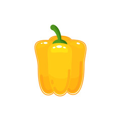 yellow bell pepper, paprika vector(Capsicum annuum L.) isolated on white background