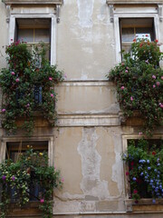 Fototapeta na wymiar finestre con fiori
