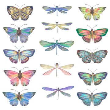 Set of watercolor butterflies and dragonflies. Collection of colorful insects with wings for design, scrapbooking, postcards. Bright butterflies hand-drawn on paper and isolated on a white background