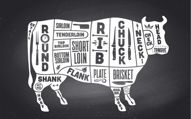 Cow, beef. Scheme, diagram, chart beef, butcher guide. Vintage retro print, art typography. Black-white chalk graphic design on chalkboard. Poster cow for Butchery meat shop. Vector Illustration