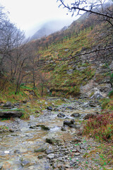 Fototapeta na wymiar canyon of a small river in the province of vizcaya in northern spain on a cloudy day