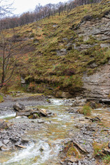 canyon of a small river in the province of vizcaya in northern spain on a cloudy day
