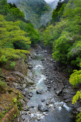 Fototapeta na wymiar 埼玉県秩父の荒川上流域の渓谷