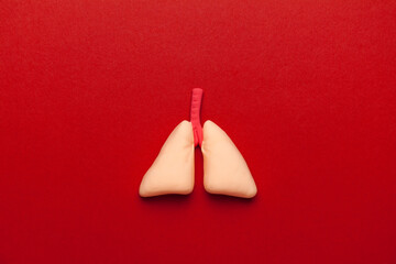 Human lungs on red background. Respiratory diseases and treatment of bronchus and respiratory tract. Viral pneumonia.