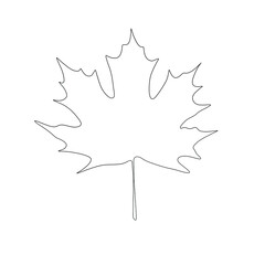 One line hand drawn maple leaf. Autumn minimalist illustration isolated on white background. 