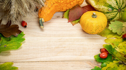 Autumn leaves fall. Natural harvest with wheat grain ear orange pumpkin, fall dried leaves, red...