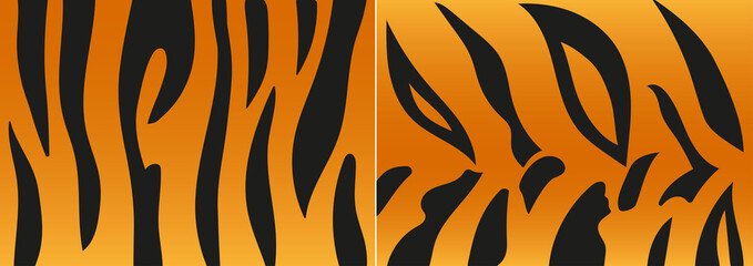 Vector illustration set of tiger skin