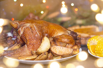Thanksgiving Day. Chicken close-up. thanksgiving. pumpkins and fruits. Copy space