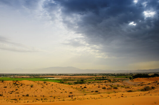 Desert landscape - sand dune - nature background