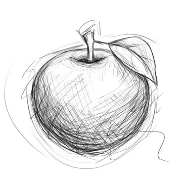 Apple sketch. Hand drawn fruit illustration in doodle style.