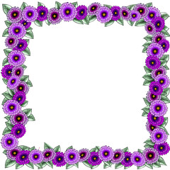 purple daisies