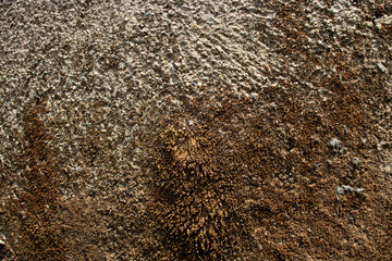 Old Wall Texture pattern of the stone wall Beautiful wall surface background pattern
