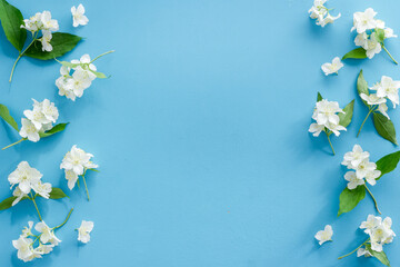 White jasmine flowers pattern top view. Floral flat lay