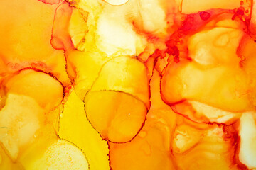 Naklejka na ściany i meble splash yellow and red alcohol ink banner. Watercolor ink Natural luxury abstract fluid art painting background alcohol ink technique