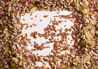 Frame from roasted seeds of different types on a white background. Copy space