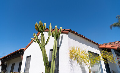 residential building house with cactus plants on blue sky background, building