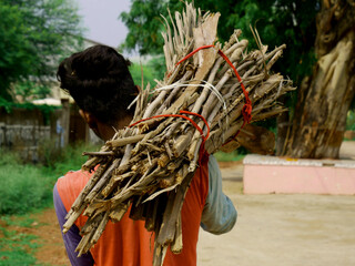 An asian man carried bunch of fire wood on shoulder going on road, back pose of village people.