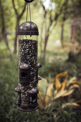 Full Bird feeder in a garden during the spring time 