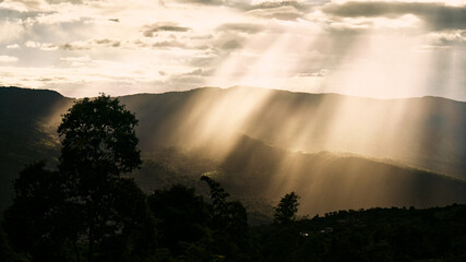 Sun Rays Over Forest