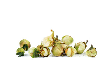 Snow lotus flowers tea isolated on white background