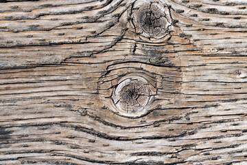 timber texture background with nobody, timbered background