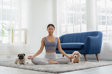 Beautiful Asian woman practice yoga lotus pose with dog pug breed and poodle relax with yoga at...