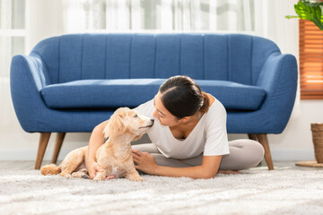 Portrait of handsome senior dog looking at owner with love,Woman sit on carpet playing with her dog happiness and cheerful,Asian woman hug her dog and smile together,Recreation with Pet concept