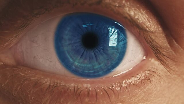 The blue eye is an extreme close-up of the iris and pupil, widening and tapering.
